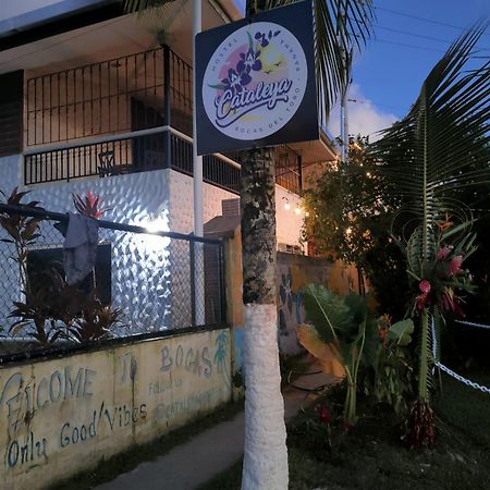 Cataleya Hostel Bocas Town Bagian luar foto