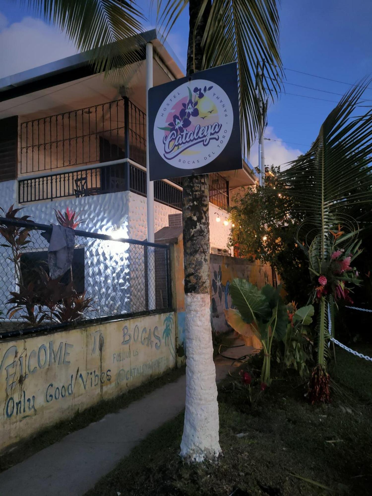 Cataleya Hostel Bocas Town Bagian luar foto
